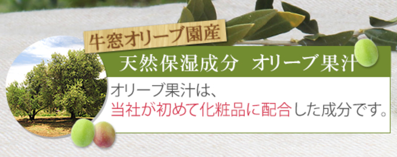 日本オリーブがオリーブ果汁を化粧品に配合した初めての会社。オリーブの効果に着目したきっかけは？